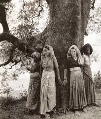 The Chipko Movement – 50 Years of Environmental Activism and Policy&nbsp;Transformation