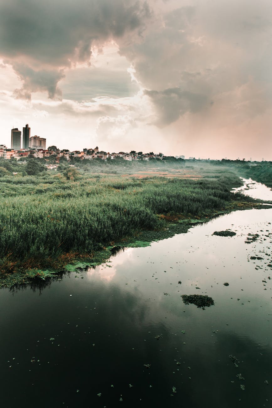 EU Ministers Approve Nature Restoration Law, a ‘Huge Win’ for&nbsp;Nature