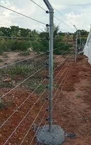 Thrissur Farmers Get ₹2.19 Crore for Solar Fences to Protect&nbsp;Crops
