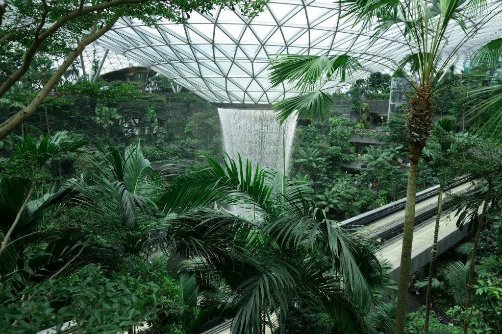 Greening Cities – A Vital Strategy to Combat Urban Heat&nbsp;Stress