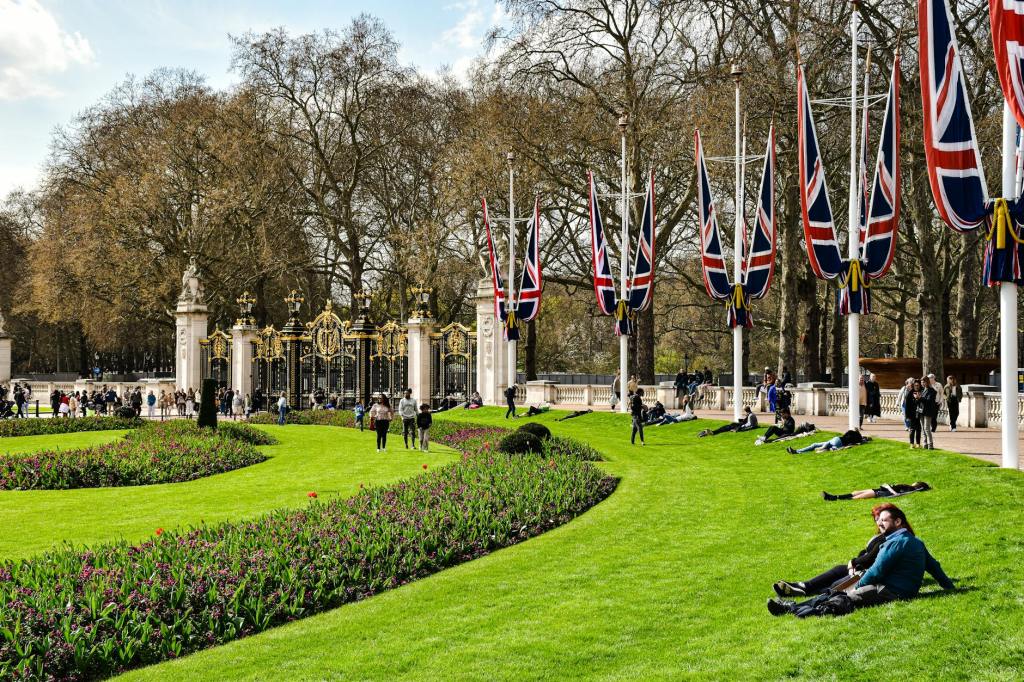 Kew Gardens Faces Potential Loss of Over Half Its Tree Species by 2090 Due to Climate&nbsp;Change