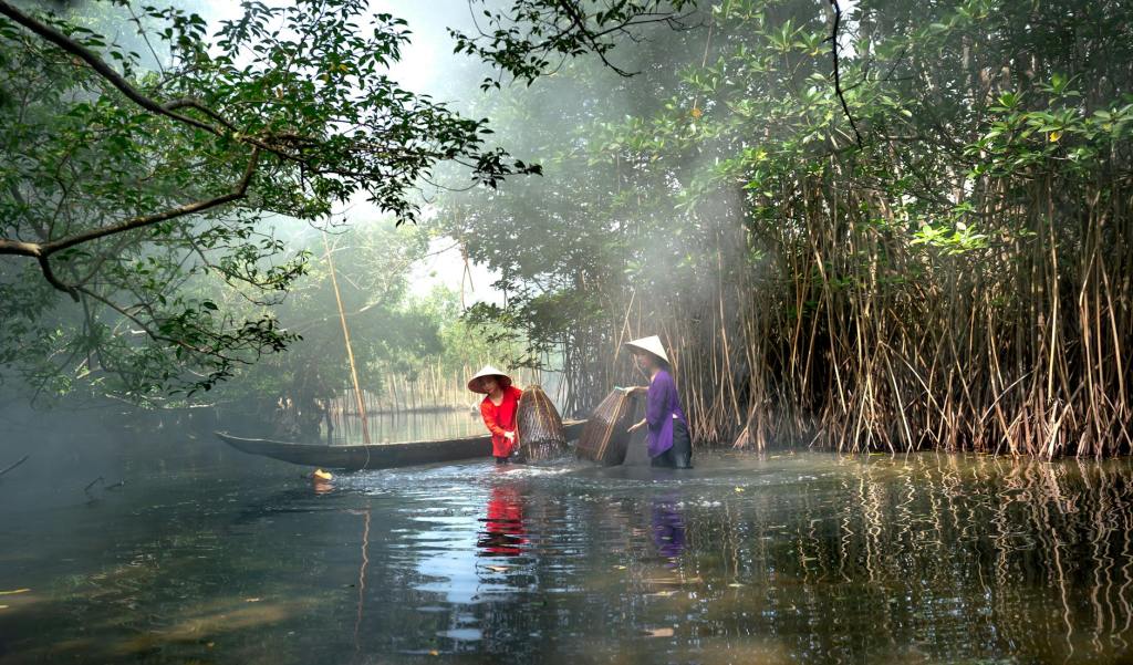 Papua’s Mangrove Forests Face Growing Threats to Livelihoods and&nbsp;Tradition