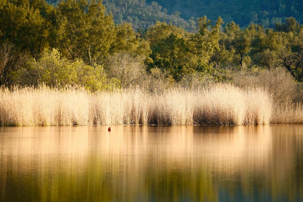 Humans Are Reshaping Life on Earth, Shrinking Biodiversity&nbsp;Everywhere