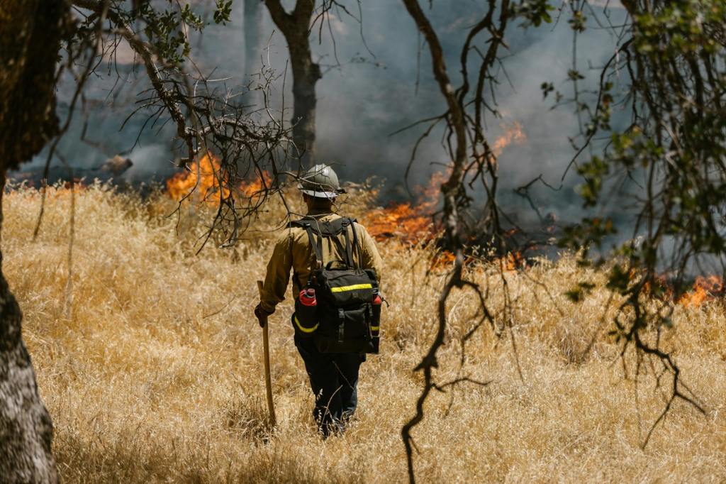 Climate Change Turns Forests into Firestorms as Global Wildfires&nbsp;Escalate
