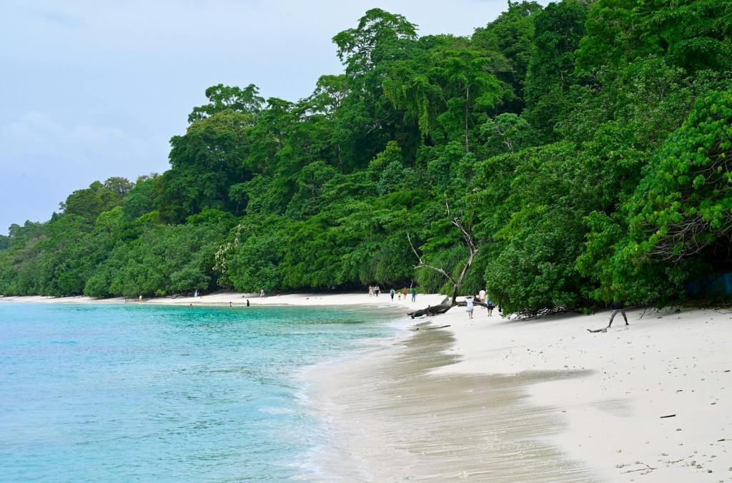 Development vs Conservation – The Growing Controversy in the Andaman and Nicobar&nbsp;Islands