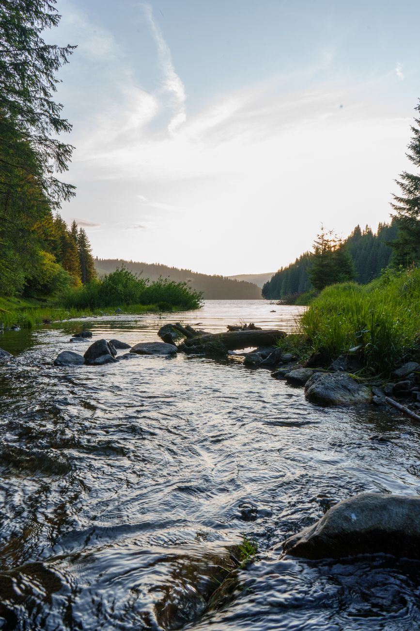 Rights of Nature Laws Face Major Hurdles Despite Landmark Court&nbsp;Victories