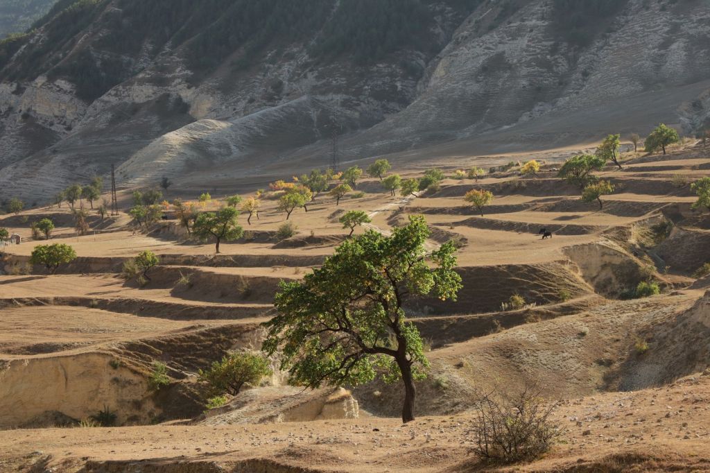 COP17 Highlights Growing Link Between Soil Degradation, Food Security and&nbsp;Nutrition