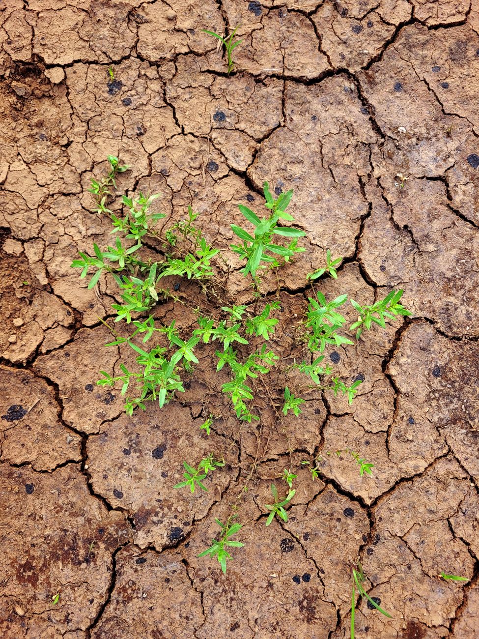 Climate Resilience in a Warming&nbsp;World